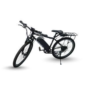 Gocycle G26