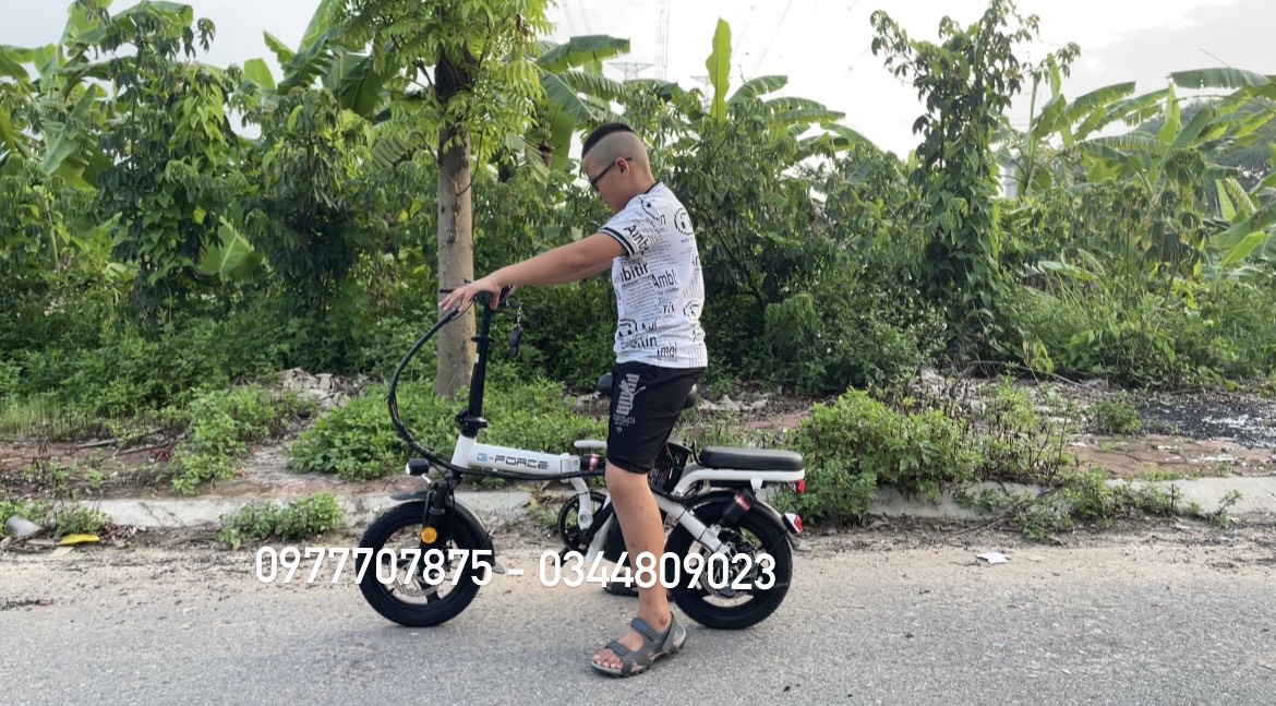 z4905100017057_58882eea59d9c0ad0d8acba30621b497