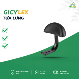 Tựa lưng ghế sau xe đạp điện trợ lực